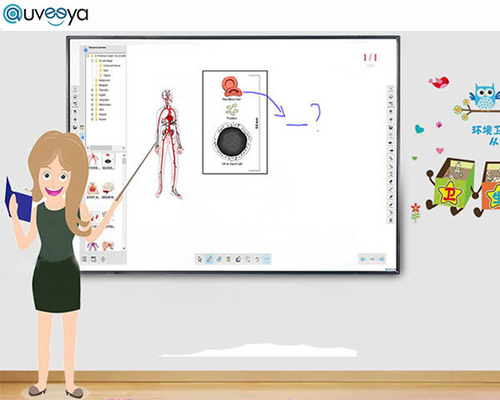 Écran tactile intelligent interactif de tableau blanc d'OEM Iwb